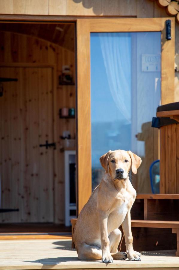 Barnhorn Glamping Hooe Exterior foto